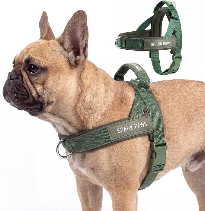 Spark Paws No Pull Front Clip Dog Harness - Easy On, Padded and Lightweight | Two Clips, On in Seconds, Chest Bearing, Australian Style, No Throat Pressure, for Small Medium and Large Breeds