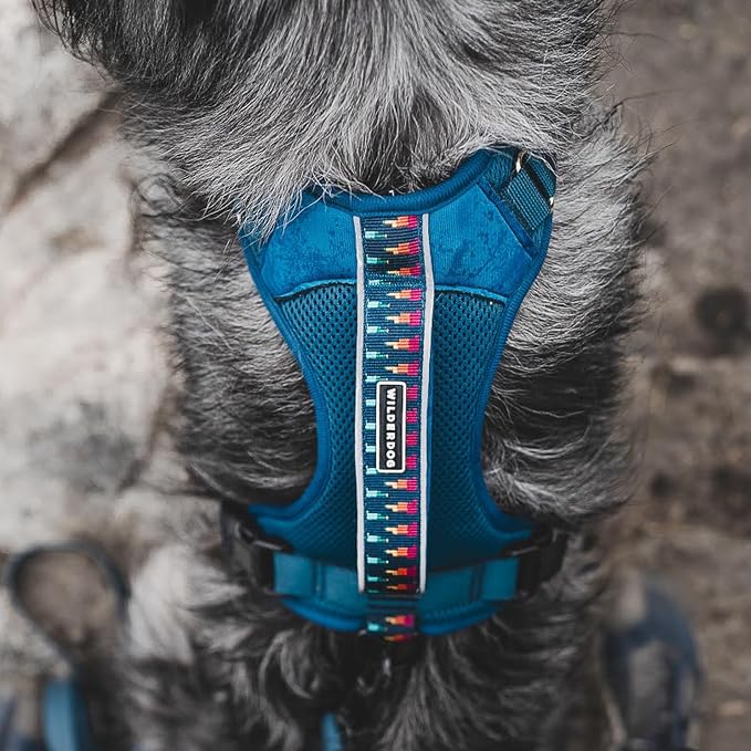 Wilderdog Lightweight Dog Harness with Reflective Straps - Large - Pacific Blue