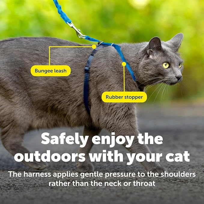 PetSafe Come with Me Kitty Harness and Bungee Cat Leash, Royal Blue, Large | Adjustable 2-Point Fit Applies Gentle Pressure to Shoulders, Not Neck, for Average and Large Cats with 13 in - 18 in Girth