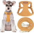 Puppytie Small Dog Harness and Leash Set, Yellow, S (9-17.5 lbs) | Dog Harness Small Sized Dog, Dog Leash for Small Dogs, Soft and Lightweight, Puppytie Dog Harness for Daily Walks