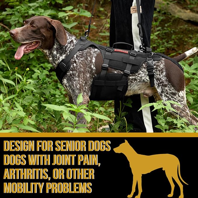 OneTigris Dog Lift Harness for Large Dogs, Dog Hip Support Brace, Full Body Lifter with Handles Invictus Multifunctional Mobility Assistance Vest for Back Legs (Black, Small)