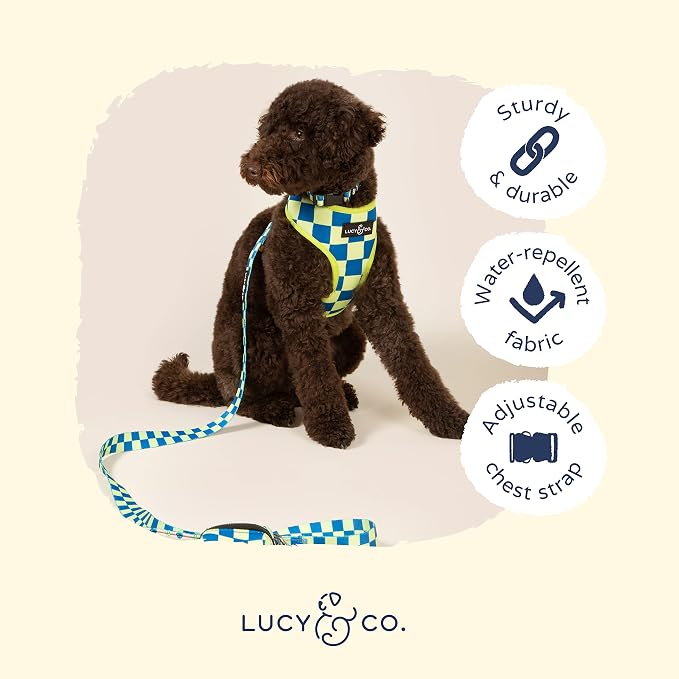 Lucy & Co. Reversible Dog Harness - Water-Repellent Neoprene, Dual-Print Design, Easy Swap Style, Adjustable Comfort Fit - Have a Nice Day Reversible Harness - Large