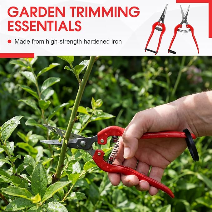 36 Pcs Straight Pruning Shears Florist Multi-tasking Garden Scissor Leaf Trimmer Floral Fruits Picking Sharp Gardening Snips for Arranging Flowers Harvesting Herbs Fruits Vegetables