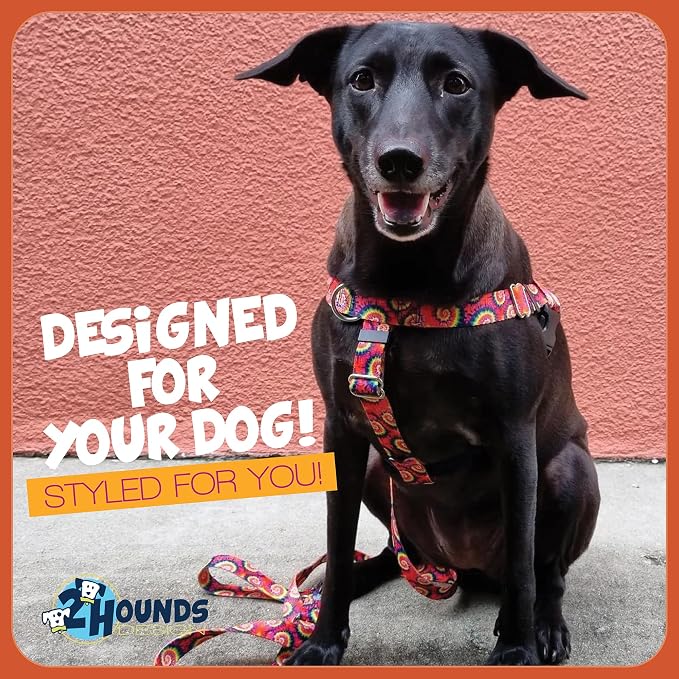 2 Hounds Design - Freedom No-Pull Harness & Training Leash in Tie-Dye | Dual Leash Loops, No Pulling on Walks | Lined to Prevent Chaffing | for Large Sized Dogs (Size L, Chest 28”- 32”)