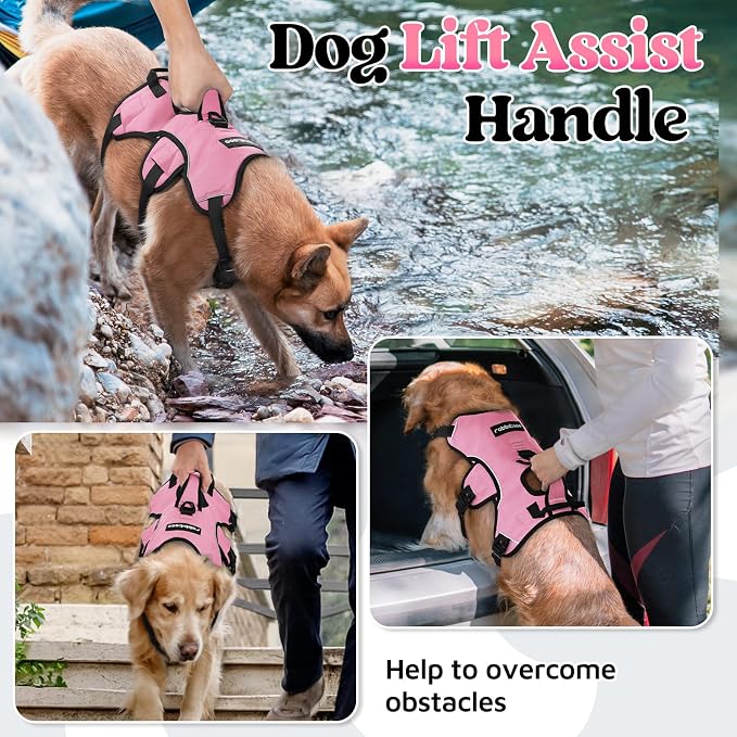 rabbitgoo Escape Proof Dog Harness for Large, No Pull with Lift Handle | No Escape, Full Soft Padded, Reflective Adjustable Vest, Leash Clip for Walking Hiking Training, Pink, Large