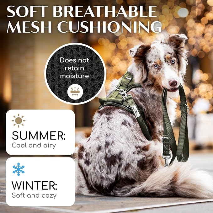 Freudentier No Pull Dog Harness with Handle, Front & Back Clips, Reflective | Soft breathable mesh padding - perfect fit with no chafing or slipping - comfortable dog vest for small, medium & large dogs