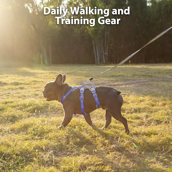 Escape Proof Harness for Dogs, No Escape Dog Harness, No Pull Dog Harness for Small Dogs with Handle, Reflective, Breathable,Durable, Adjustable Vest for Walking,and Running Gear(Vista Blue,S)