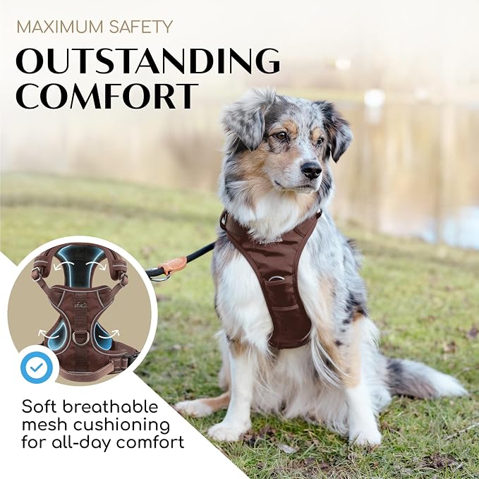 Freudentier No Pull Dog Harness with Handle, Front & Back Clips, Reflective | Soft breathable mesh padding - perfect fit with no chafing or slipping - comfortable dog vest for small, medium & large dogs