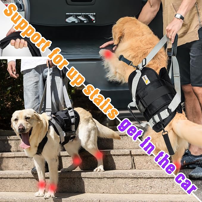 Dog Lift Harness for Large Dogs,Full Body Dog Sling Carrier, Black, XL | Help Support Big, Elderly Pet with Arthritis, Front/Rear Legs Assistance with Handle, for Lifting Injured Dogs Up Stairs