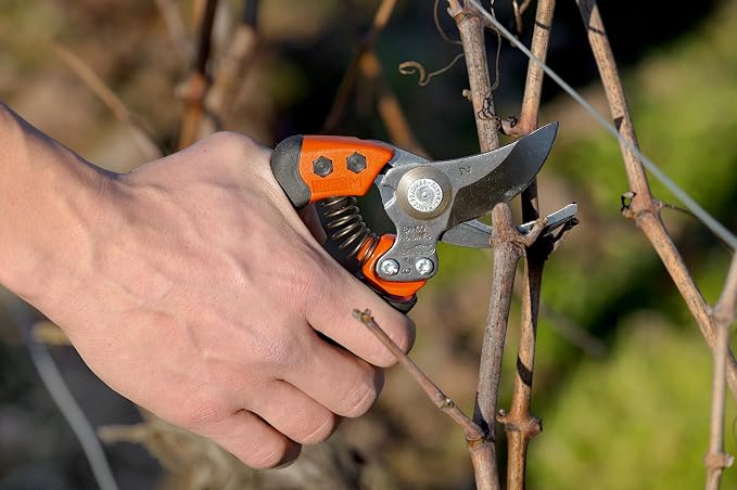 Bahco BAHPX-S2 ERGO Small Bypass Secateurs, 7" Length, Elastomer-Coated Fixed Soft Grip Handle, 3/4" Cutting Capacity, Lightweight Garden Pruners Designed for Comfort and Precision