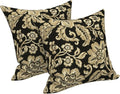 LVTXIII Outdoor Throw Pillows 16x16 Inch, Set of 2 Square Decorative Pillows with Inserts for Patio Furniture, Porch Chair, Garden Sofa, Jacobean Black