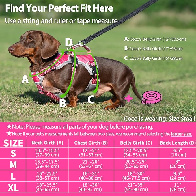 Escape Proof Dog Harness, Dachshund Harness, Reflective Dog Harness with Handle, Durable,Adjustable Vest for Small Medium Large Dogs Walking, Training, and Running Gear (Rose red,L)