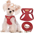 Puppytie XXS Puppy Harness and Leash Set, Red Hawthorn, XXS (2.2–6 lbs) | Puppy Harness for Small Dogs, Teacup and Yorkie Harness, Soft Lightweight and Adjustable, XXS Dog Harness for Daily Walks