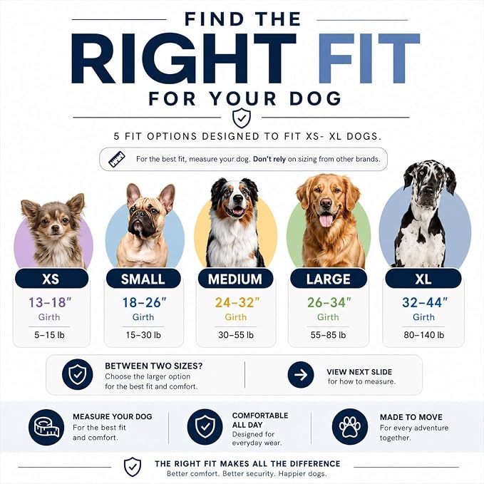 ShawnCo Essential Dog Harness, No-Pull Pet Vest (ICY Lilac,M) | 3 Leash Clips, Easy On, No-Choke, Reflective, Adjustable Fit, Padded Comfort, Control Handle, For Small, Medium & Large Dogs