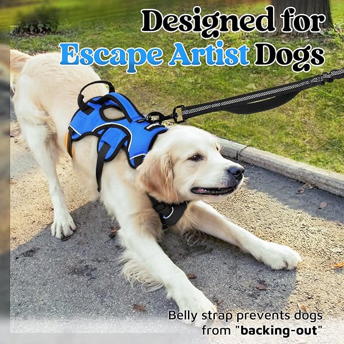 rabbitgoo Escape Proof Dog Harness for Large, No Pull with Lift Handle | No Escape, Full Soft Padded, Reflective Adjustable Vest, Leash Clip for Walking Hiking Training, Blue, Large