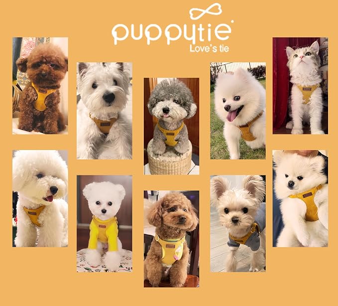 Puppytie XXS Puppy Harness and Leash Set, Yellow, XXS (2.2–6 lbs) | Puppy Harness for Small Dogs, Teacup and Yorkie Harness, Soft Lightweight and Adjustable, XXS Dog Harness for Daily Walks