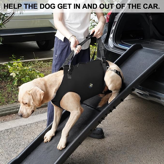 Coodeo Dog Lift Harness, Pet Support & Rehabilitation Sling Lift Adjustable Padded Breathable Straps for Old, Disabled, Joint Injuries, Arthritis, Loss of Stability Dogs Walk (Black, 2XL)