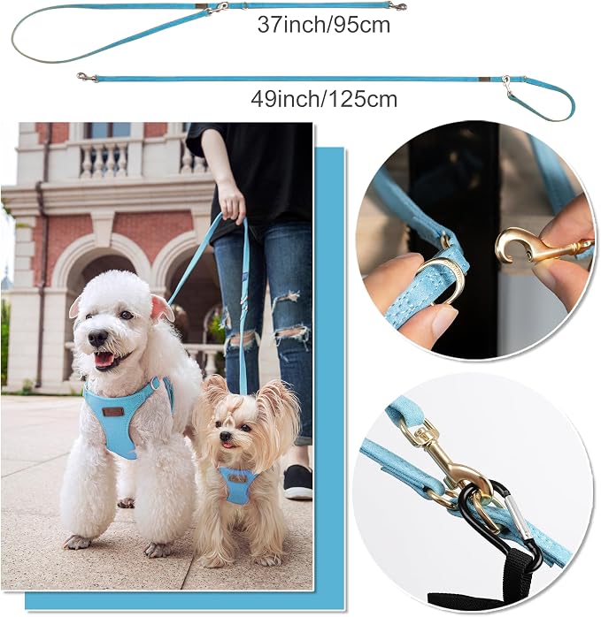 Puppytie Small Dog Harness and Leash Set, Ocean Blue, S (9-17.5 lbs) | Dog Harness Small Sized Dog, Dog Leash for Small Dogs, Soft and Lightweight, Puppytie Dog Harness for Daily Walks