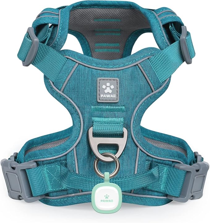 Pawaii Small Dog Harness - Soft Padded Pet Vest with ID Tag, No Choke, Adjustable Control Handle