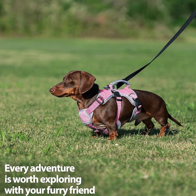 Escape Proof Dog Harness, Dachshund Harness, Reflective Dog Harness with Handle, Durable,Adjustable Vest for Small Medium Large Dogs Walking, Training, and Running Gear (Pink,S)