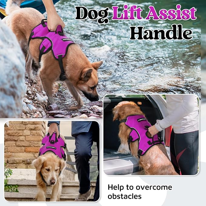 rabbitgoo Escape Proof Dog Harness for Large, No Pull with Lift Handle | No Escape, Full Soft Padded, Reflective Adjustable Vest, Leash Clip for Walking Hiking Training, Purple, Large