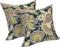 LVTXIII 2 Pack Outdoor Pillows 18x18 Inch, Square Throw Pillows with Inserts, Decorative Water-Repellent Pillow Cushions for Patio Furniture and Garden Sofa, Paisley Bloom