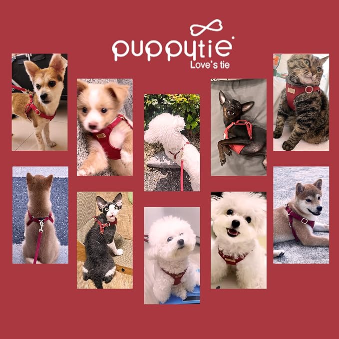 Puppytie Dog Harness and Leash Set, Red Hawthorn, M (16.5-31 lbs) | Harness Small Size Dog, Dog Leash for Small Dogs, Soft Lightweight and Adjustable, Small Dog Harness for Daily Walks