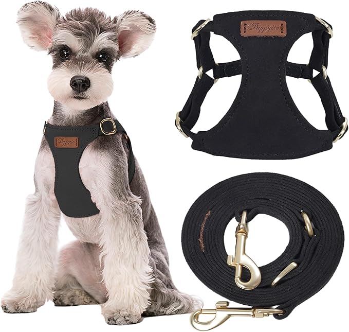Puppytie Small Dog Harness and Leash Set, Black, S (9-17.5 lbs) | Dog Harness Small Sized Dog, Dog Leash for Small Dogs, Soft and Lightweight, Puppytie Dog Harness for Daily Walks