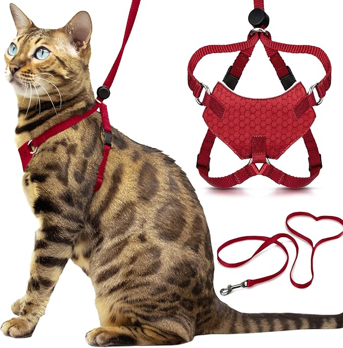 Houdini™ Escape Proof Kitten Harness and Leash (Red, S) | Adjustable walking vest with 6ft lead, breathable mesh, snug secure fit, light and gentle for first outdoor adventures