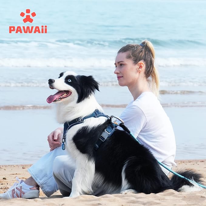Pawaii No Pull Dog Harness with Pet ID Tag, Reflective Vest | Built for safer walks with a QR Pet ID Tag, front no pull clip, reflective trim, control handle and breathable mesh lining