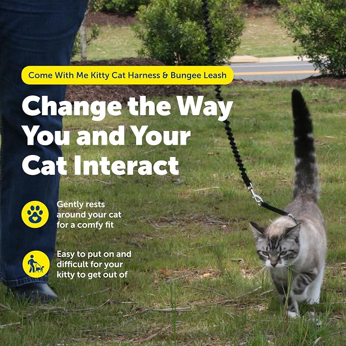 PetSafe Come with Me Kitty Harness and Bungee Cat Leash, Royal Blue, Large | Adjustable 2-Point Fit Applies Gentle Pressure to Shoulders, Not Neck, for Average and Large Cats with 13 in - 18 in Girth