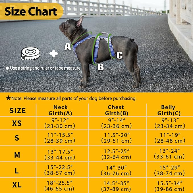 Escape Proof Dog Harness, No Pull Reflective Harness with Lift Handle, Adjustable Pet Vest with Front and Back Leash Clips for Small Medium Large Dogs Walking Hiking Training (Vista Blue,XL)