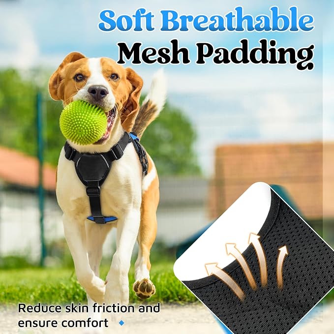 rabbitgoo Escape Proof Dog Harness for Small, No Pull with Lift Handle | No Escape, Full Soft Padded, Reflective Adjustable Vest, Leash Clip for Walking Hiking Training, Blue, Small