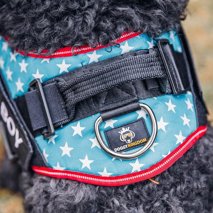 Personalized Dog Harness with Custom Name Patches, Adjustable Reflective No Choke Dog Vest with Handle for Medium Sized Dog, Green, M