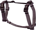 Blue-9 Reflective Buckle-Neck Balance Harness, Fully Customizable Fit No-Pull Harness with 3M Reflective Stitching, Ideal for Dog Training and Obedience, Made in The USA, Grey, Small