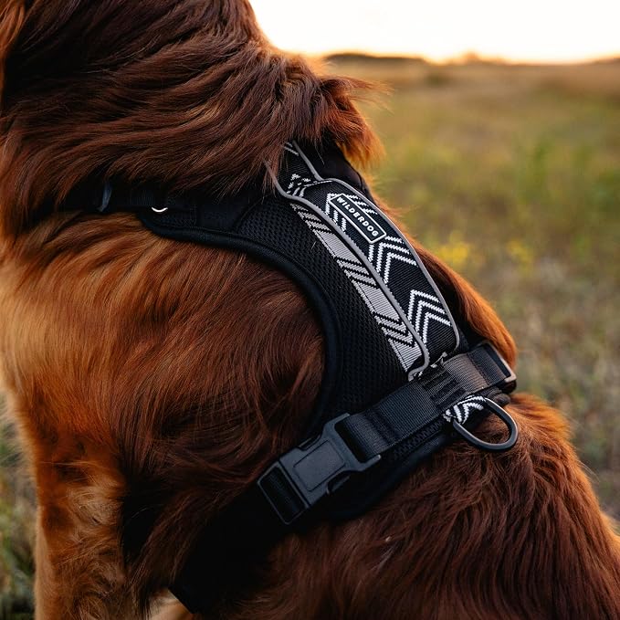 Wilderdog Lightweight Dog Harness with Reflective Straps - Large - Black