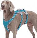 Escape Proof Dog Harness, No Pull Reflective Harness with Lift Handle, Adjustable Pet Vest with Front and Back Leash Clips for Small Medium Large Dogs Walking Hiking Training (Teal,XL)