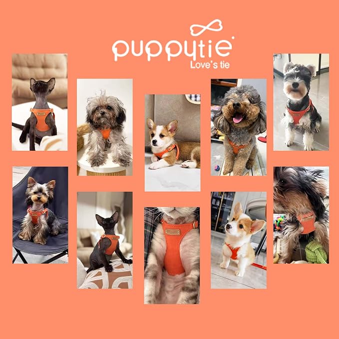 Puppytie XS Dog Harness and Leash Set, Orange, XS (4.5-11 lbs) | Extra Small Dog Harness, Puppy Harness and Leash, Soft Lightweight and Adjustable, Xsmall Dog Harness for Daily Walks