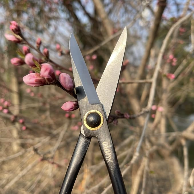 8 Inch Full-Steel Forged, Bonsai Small Branch Shears for Delicate Shoots and Leaves