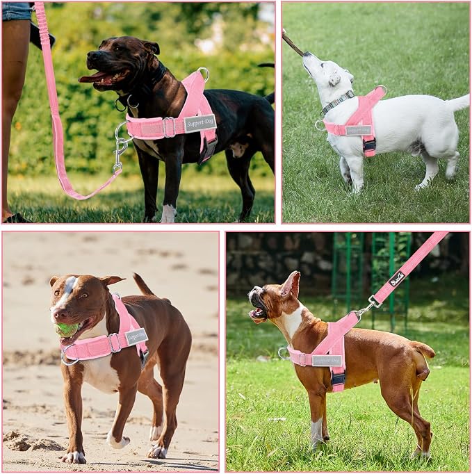 SlowTon No Pull Dog Harness with Front Clip - Heavy Duty, Soft Padded | Neck & Chest Adjustable, Tactical Pet Vest and Leash Set for Large Medium Sized Dogs, for Easy Walk & Training, Pink XL