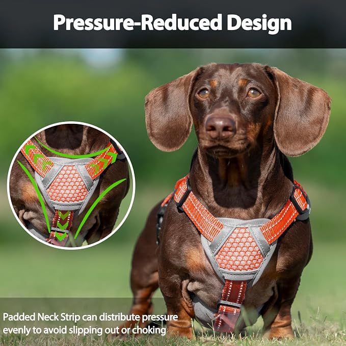 Escape Proof Dog Harness, Dachshund Harness, Reflective Dog Harness with Handle, Durable,Adjustable Vest for Small Medium Large Dogs Walking, Training, and Running Gear (Orange,M)