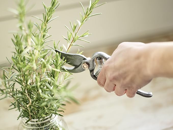 Barebones Pruner - Heavy Duty, Non-Slip Pruning Shears with Durable Blades - Old World Japanese Design, Plant Trimming Scissors - Ideal Houseplant Accessories & Garden Tools