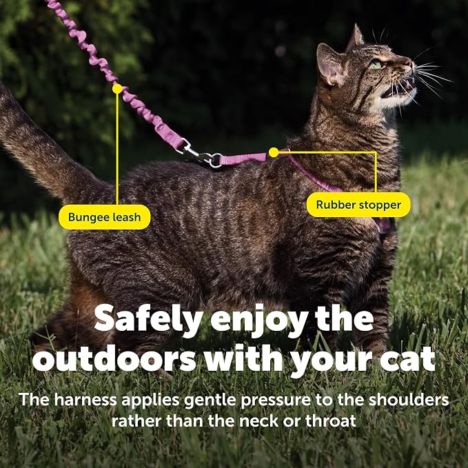 PetSafe Come with Me Kitty Harness and Bungee Cat Leash, Dusty Rose, Medium | Adjustable 2-Point Fit Applies Gentle Pressure to Shoulders, Not Neck, for Small & Average Cats with 10.5 in - 14 in Girth