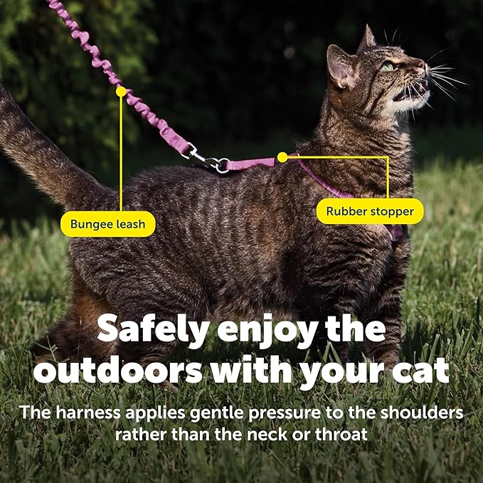 PetSafe Come with Me Kitty Harness and Bungee Cat Leash, Dusty Rose, Small | Adjustable 2-Point Fit Applies Gentle Pressure to Shoulders, Not Neck, for Kittens and Small Cats with 9 in - 11 in Girth