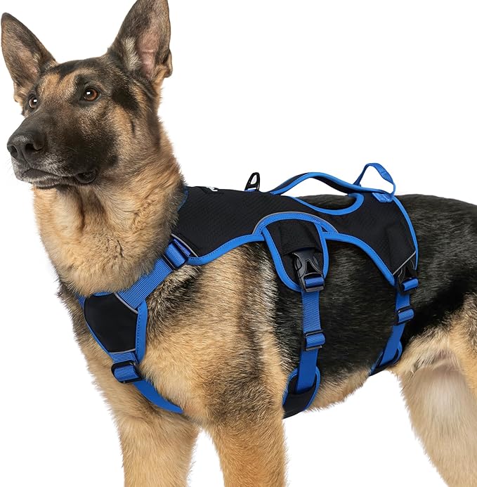 rabbitgoo Escape Proof Dog Harness for X-Large, No Pull with Lift Handle | No Escape, Full Soft Padded, Reflective Adjustable Vest, Leash Clip for Walking Hiking Training, Blue & Black, X-Large
