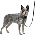 PetSafe Easy Walk Comfort No Pull Dog Harness, Black, Medium | Stops Pulling on First Use with Front Martingale Loop, Full-Body Padding, 5-Point Adjustable Fit