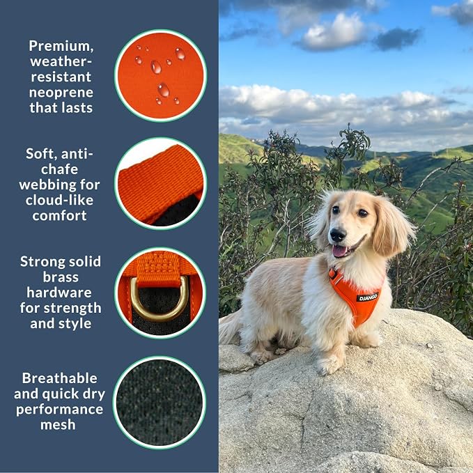 Adventure Dog Harness - Stylish, & Durable Small Dog Harness for Outdoor Adventures and Everyday Wear - Sunset Orange Neoprene Adjustable Harness for Dogs with Reflective Piping & Brass D-Ring