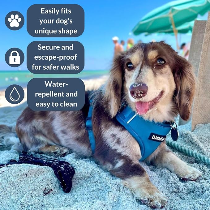 Adventure Dog Harness - Stylish & Durable Large Dog Harness for Outdoor Adventures and Everyday Wear - Pacific Blue Neoprene Adjustable Harness for Dogs with Reflective Piping, Brass D-Ring
