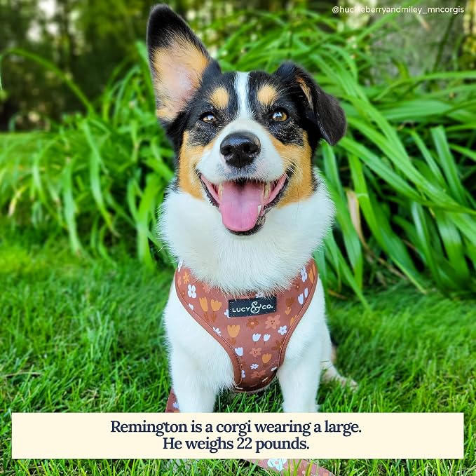 Lucy & Co. Reversible Dog Harness - Water-Repellent Neoprene, Dual-Print Design, Easy Swap Style, Adjustable Comfort Fit - Chocolate Meadows Reversible Harness - X-Small