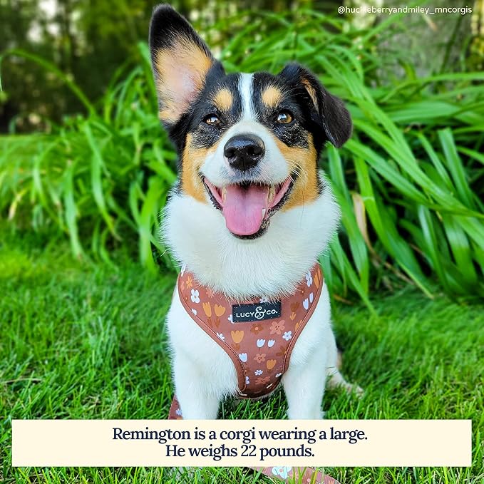 Lucy & Co. Reversible Dog Harness - Water-Repellent Neoprene, Dual-Print Design, Easy Swap Style, Adjustable Comfort Fit - Chocolate Meadows Reversible Harness - Small
